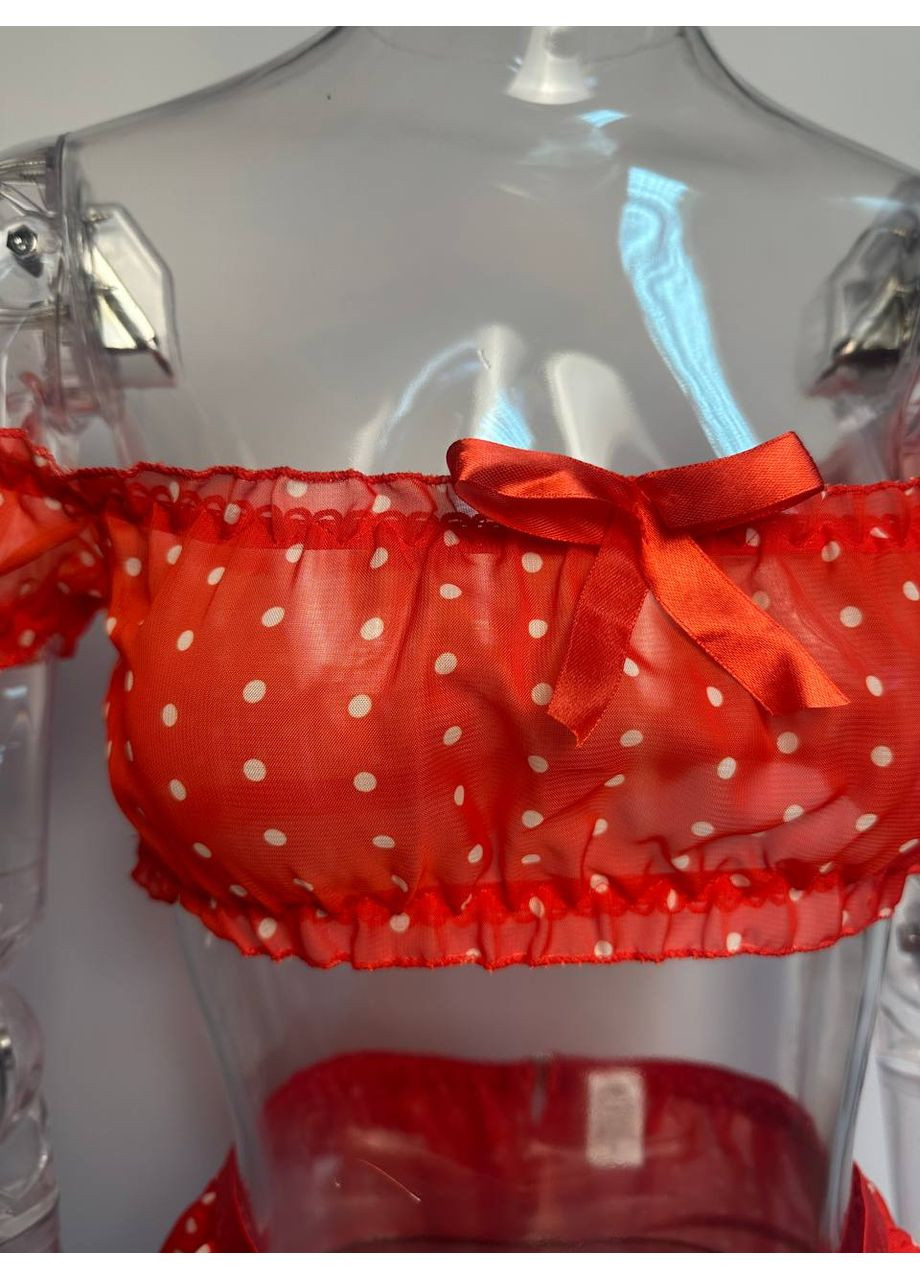 Червоний демісезонний комплект жіночої білизни в горошок веснянка топ пояс-спідниця з гартерами та трусики в наборі червоний No Brand Комплект нижньої білизни Freckle