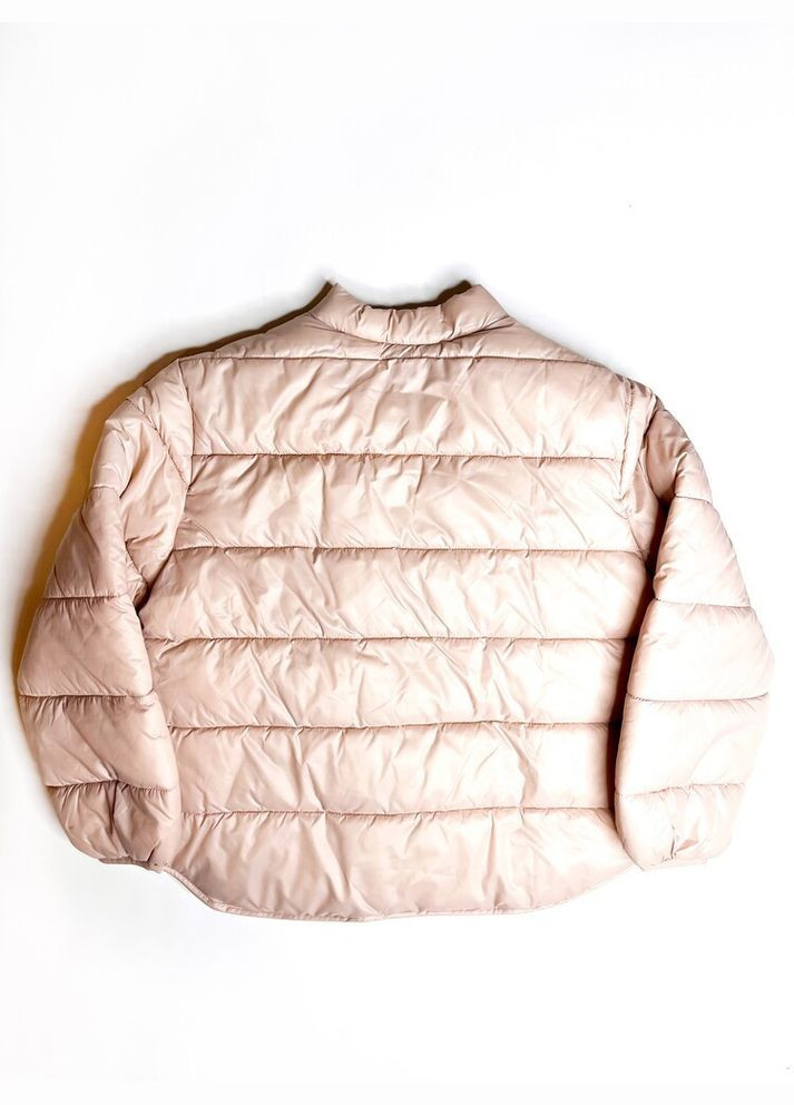 Пудровая демисезонная куртка 152 см пудровый артикул л170 Zara