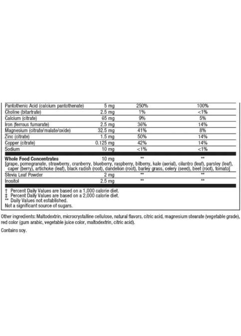 Big Friends Multi-Vitamin & Minerals 60 Chewable Tabs Jungle Berry Natural Factors (300109327)