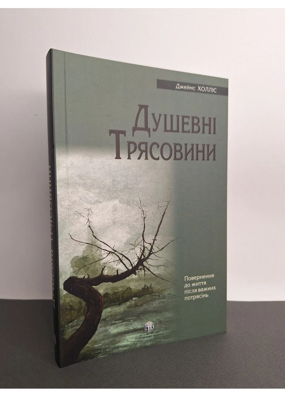 Книга Душевні трясовини Джеймс Холліс Видавництво Ростислава Бурлаки (384313396)