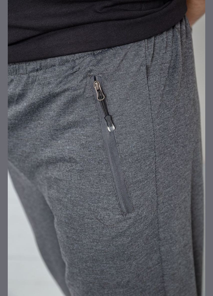 Темно-серые демисезонные брюки Ager