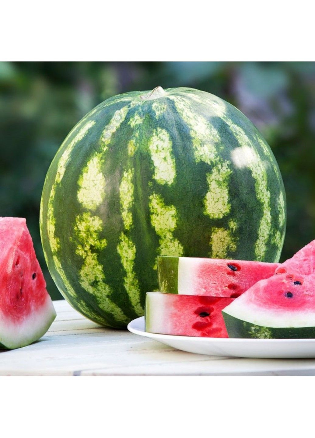 Семена арбуза Кримсон Свит (Krimson Svit) Clause (333036068)