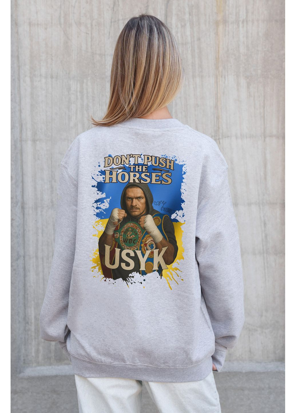 Серый женский утепленный оверсайз свитшот на флисе с принтом dont push the horse Without однотонный без декора (366740711)