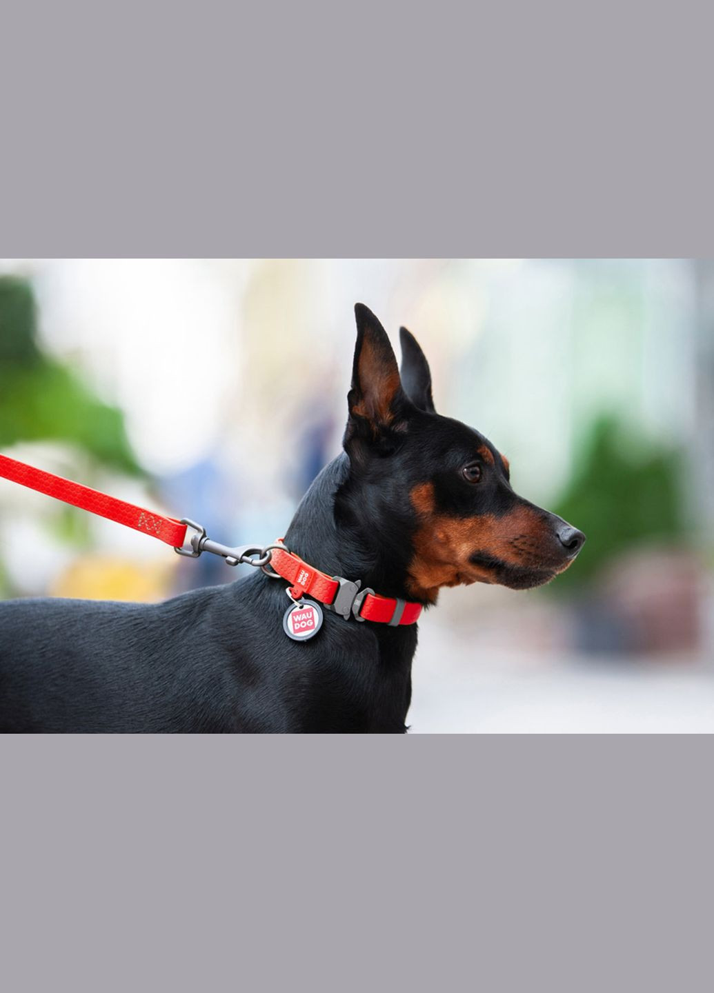 Ошейник для собак водостойкий Waterproof c QR-паспортом, металлическая пряжка-фастекс, Ш 20 мм, Дл 28-40 см красный WAUDOG (332879244)
