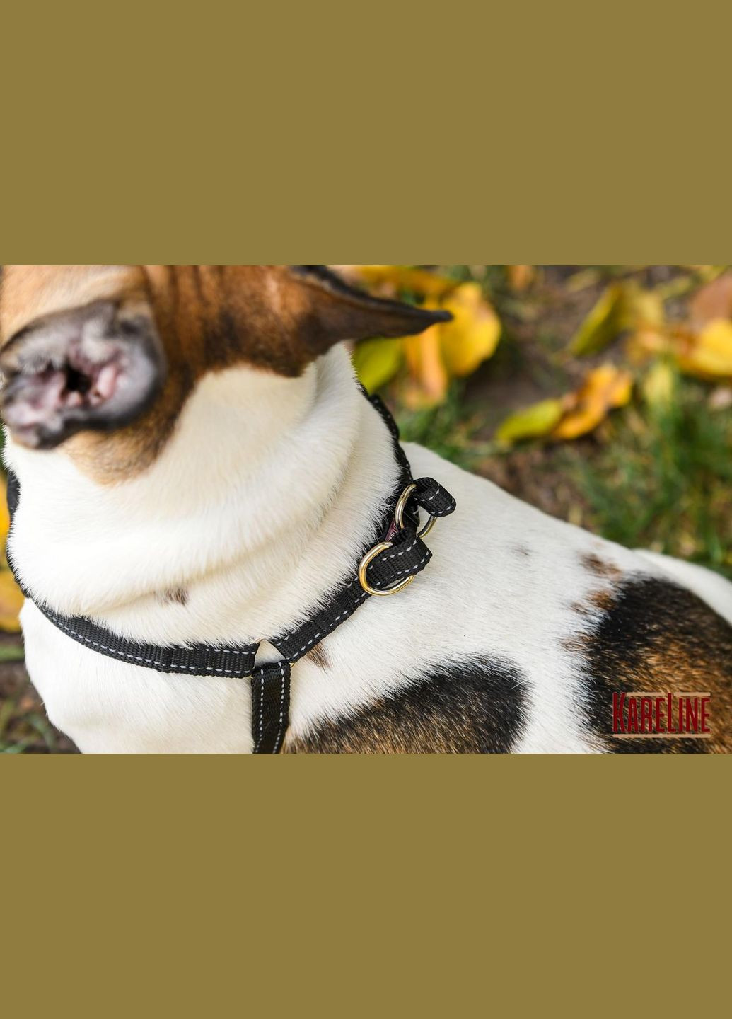 Шлей нагрудник из нейлона со светоотражающими элементами и пластиковой пряжкой 10 мм. Kareline (339075602)