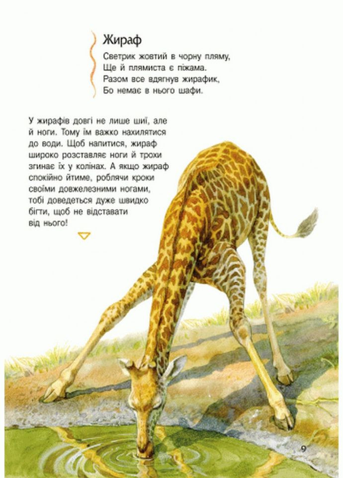 Детская энциклопедия про животных 614005 для дошкольников Ranok Creative (308997294)