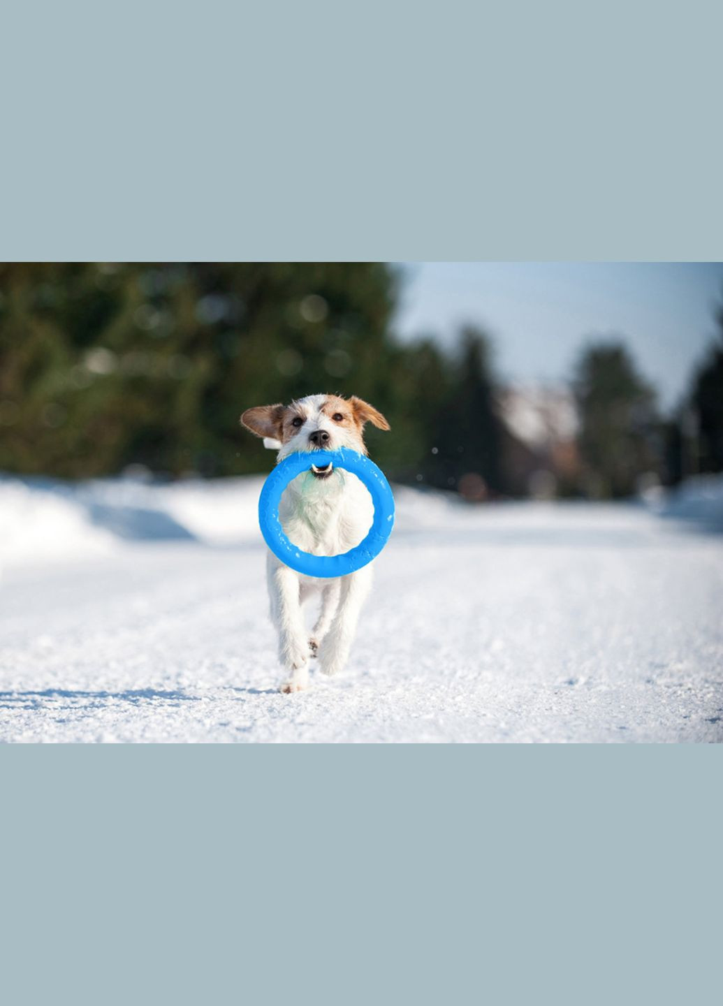 Кольцо для апортировки PitchDog30, диаметр 28 см, голубой PitchDog (315599009)