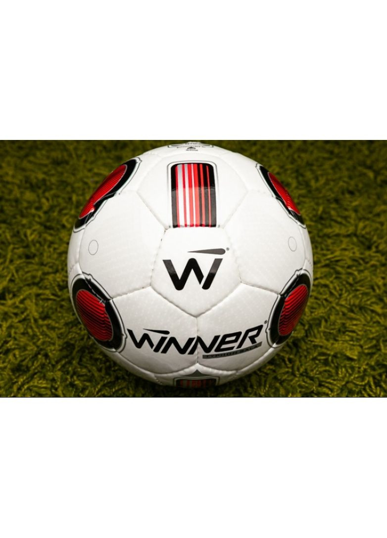 Мяч для футзала Typhon Sala (размер 4) Winner (369141688)
