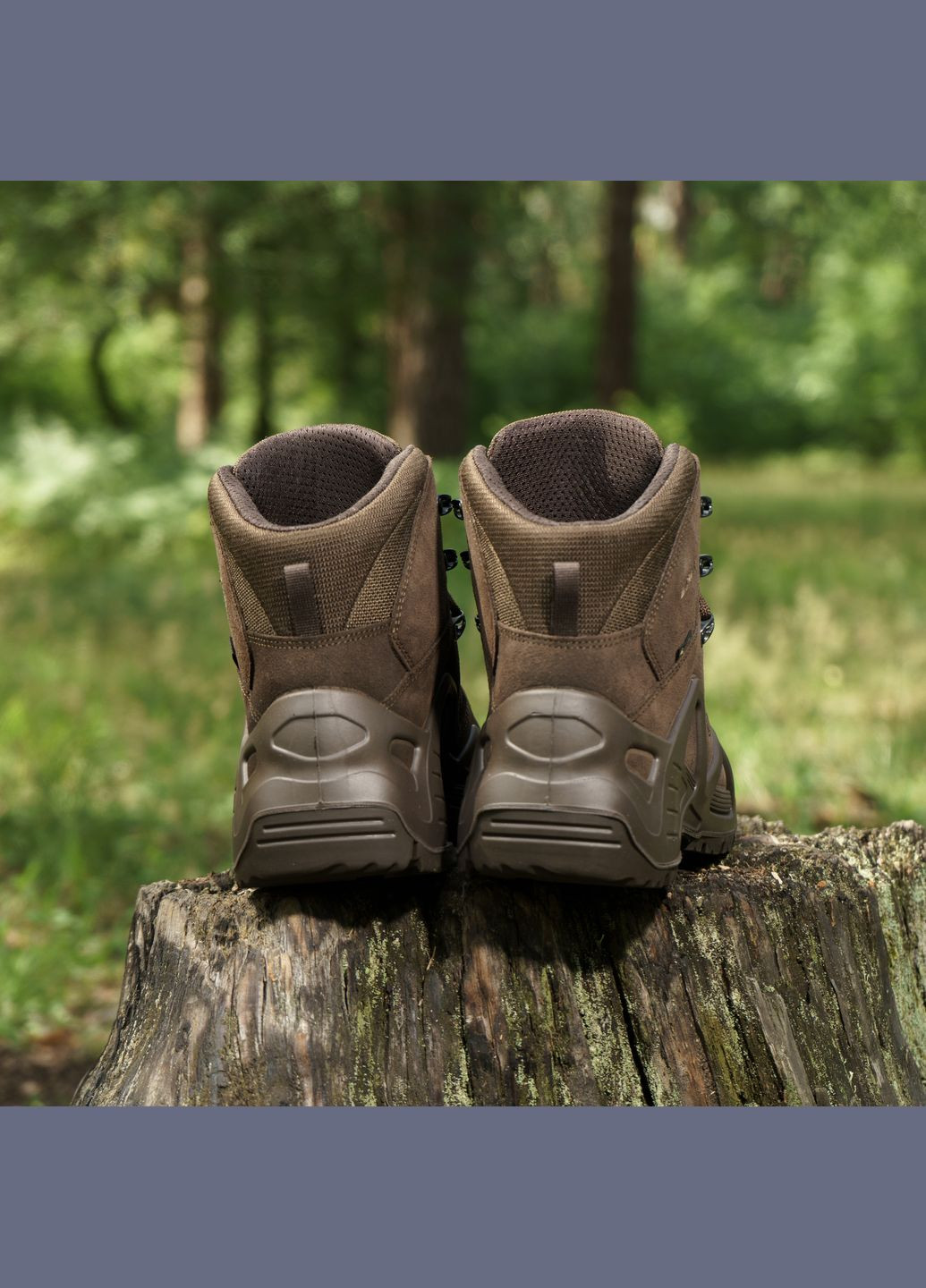 Черевики Zephyr GTX MID TF Dark Brown Lowa (315882181)