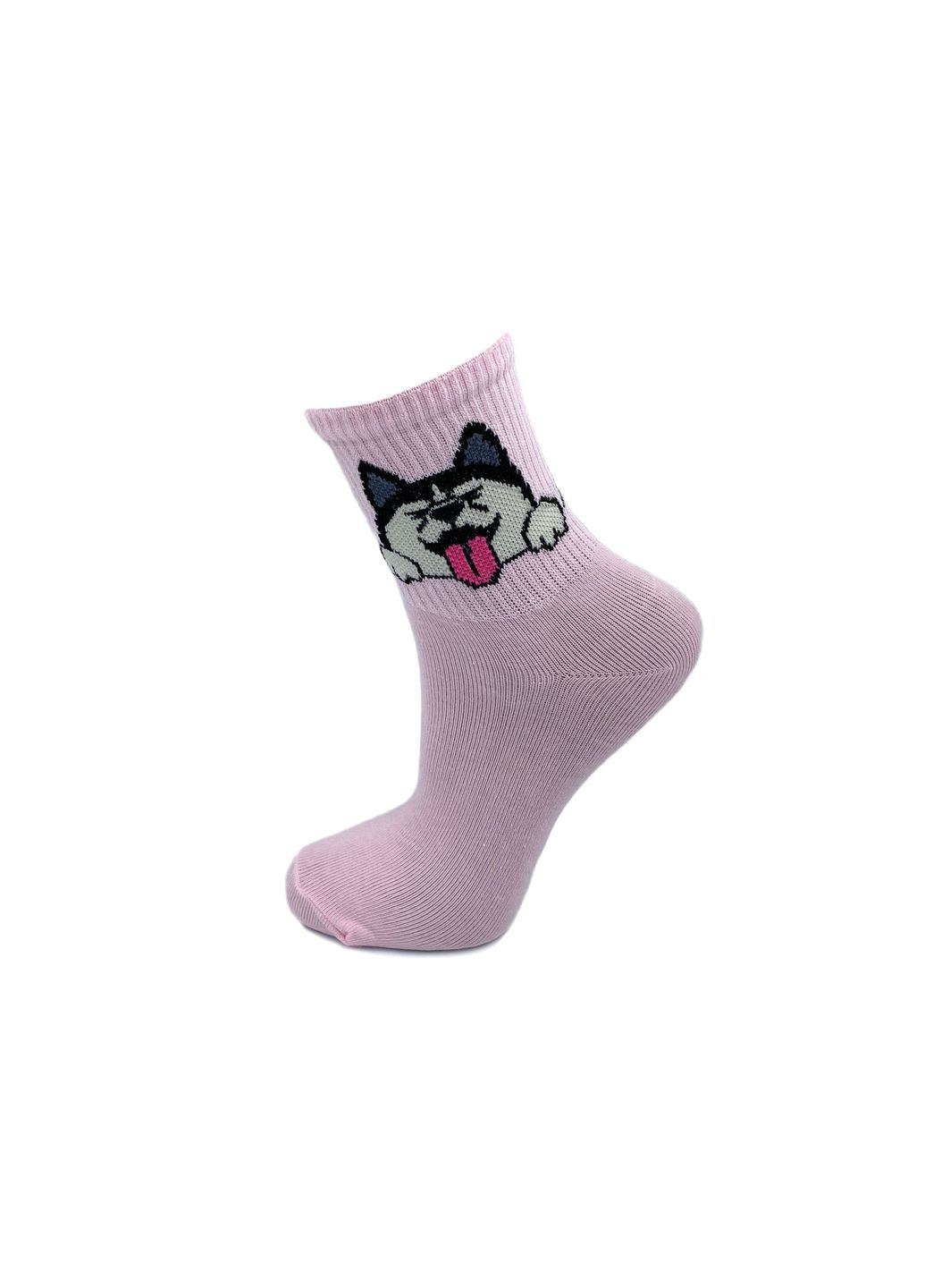 Комбинированные носки детские, высокая резинка. микс собачек. комплект из 3х пар. цвет: цветной микс. Крокус анималистичные (336551226)