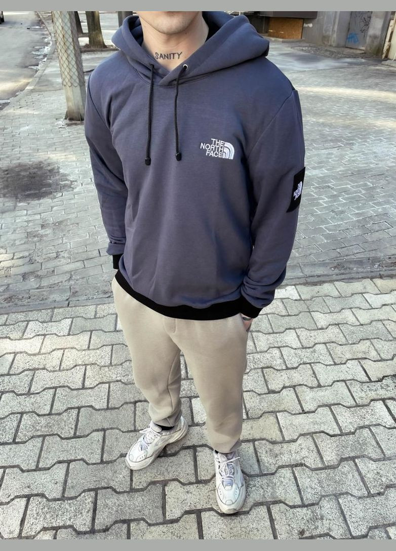 Стильний сірий осінній чоловічий худі The North Face No Brand (370961811)