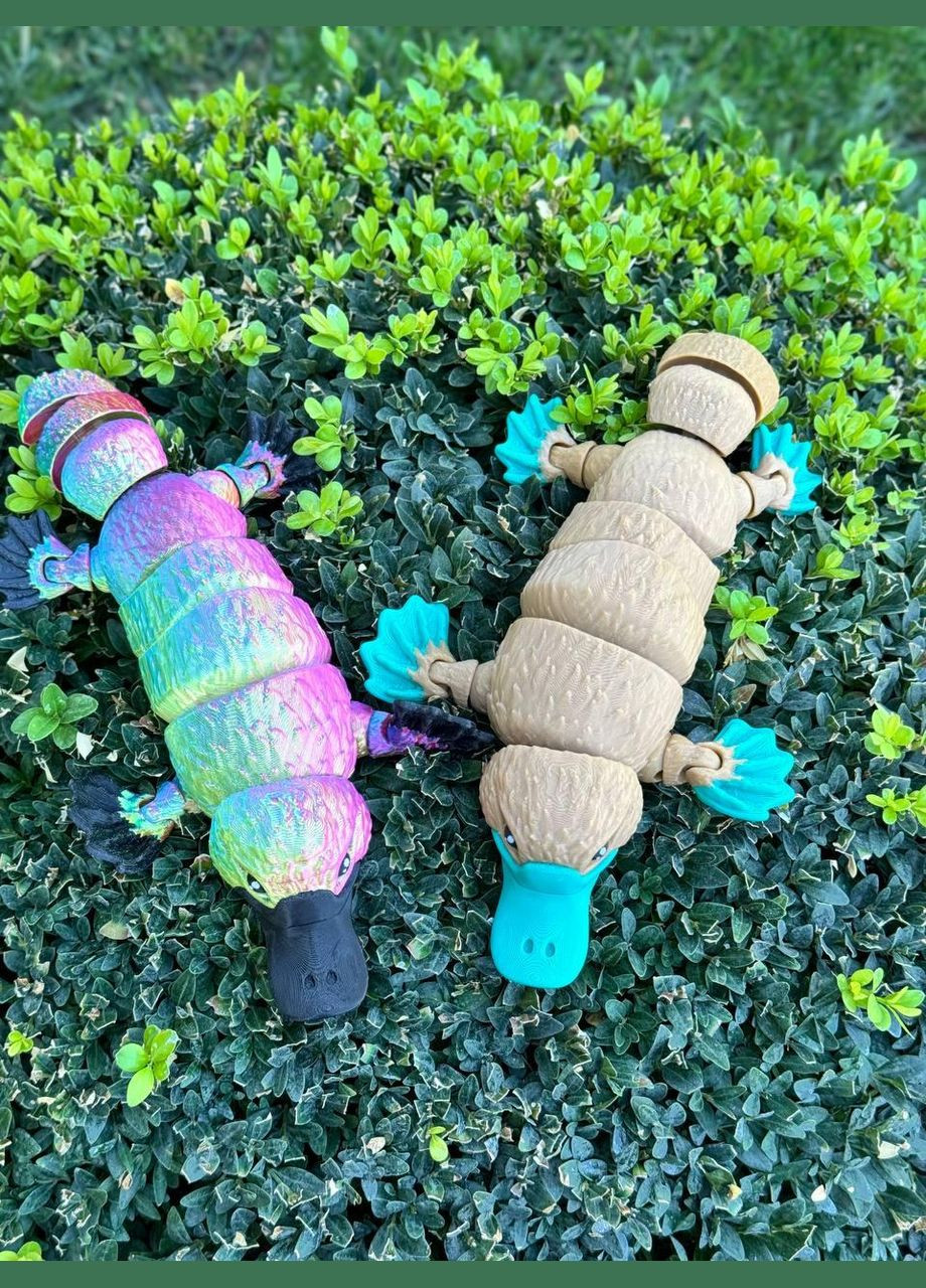 КАЧКОНОСИ 🥰 No Brand (339042713)