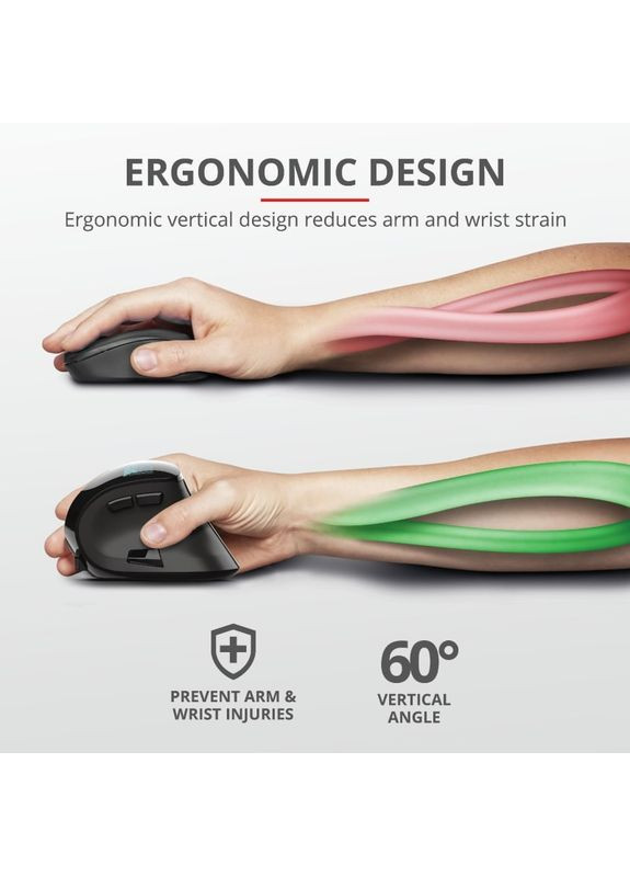 Мышь Voxx Rechargeable Ergonomic WL Black (23731_TRUST) Trust (360412383)