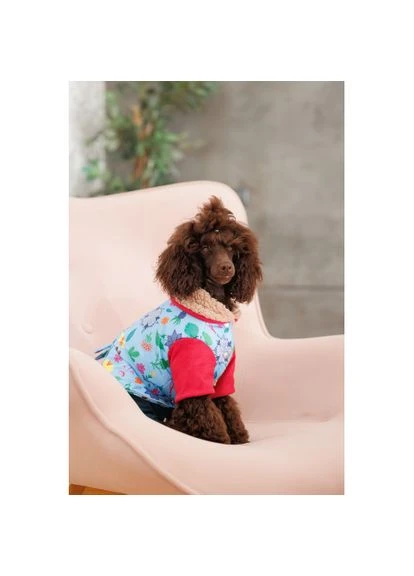 Костюм Alisa для дівчинки розмір S Pet Fashion (333020558)
