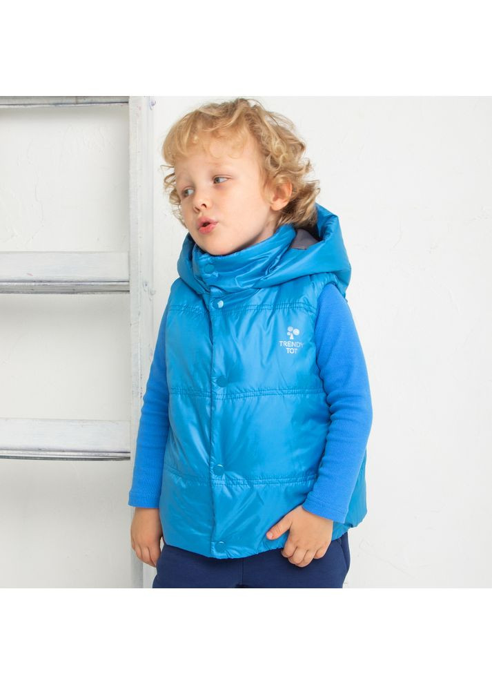 Жилет стьобаний утеплений дитячий унісекс Trendy Tot 03-01509_000000003 (372735814)