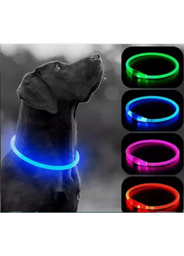 Ошейник светодиодный для собак Ошейник для светящихся животных 50см Willson (369149627)