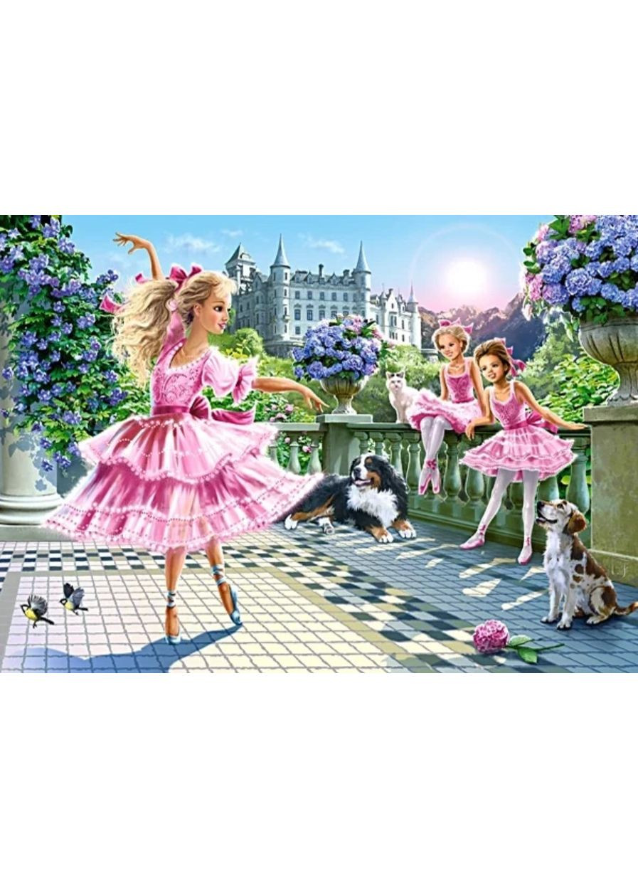 Пазл Castorland (364507508)