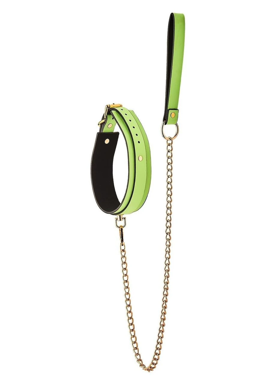 Ошейник с поводком светящийся в темноте Dream Toys Radiant Collar & Leash зеленый No Brand (327875985)