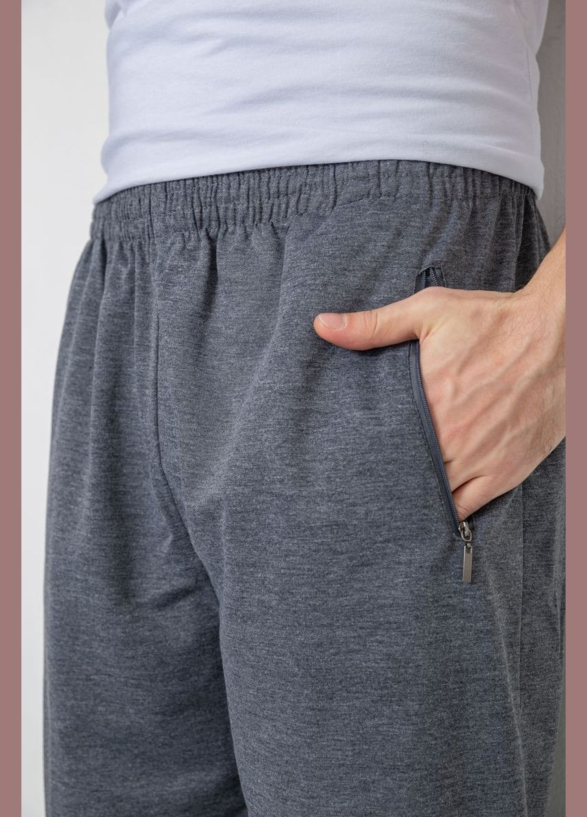 Серые спортивные демисезонные брюки Sport Line