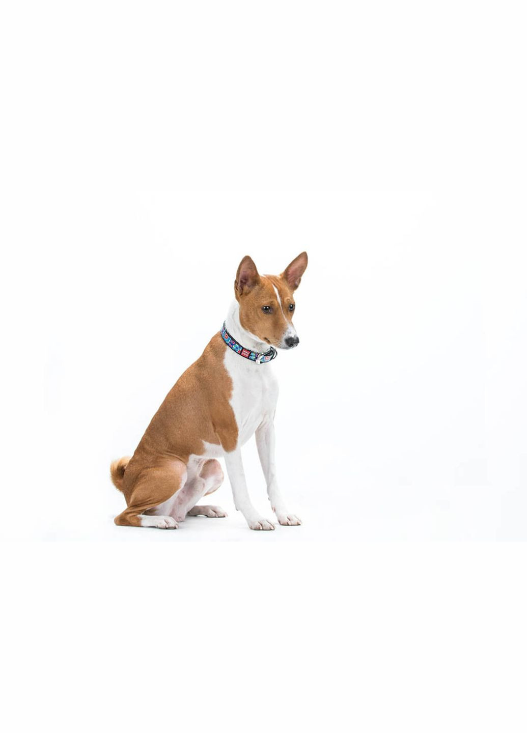 Ошейник для собак кожаный Design с Цветы Ш 15 мм Дл 27-36 см WAUDOG (279571035)