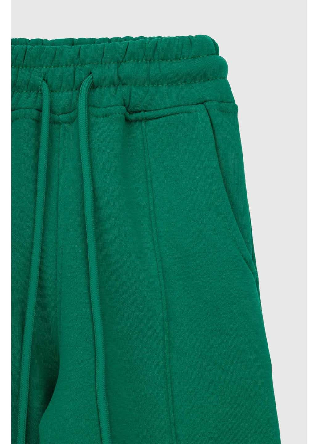 Зеленые спортивные демисезонные брюки ANGELOS