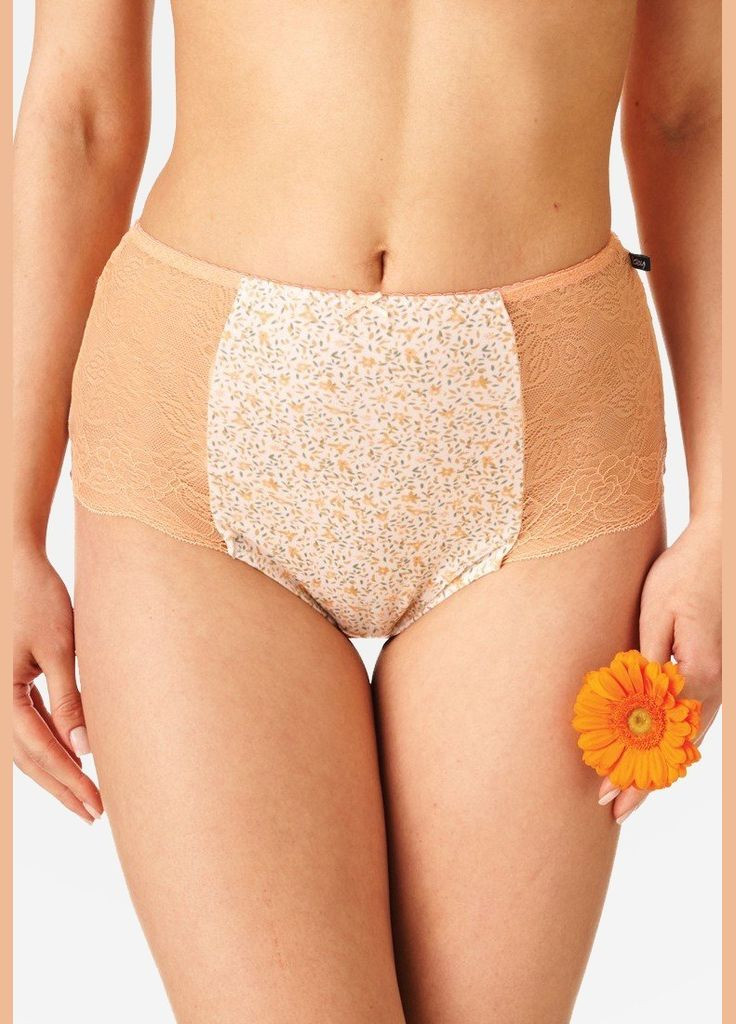 Жіночі трусики (2шт.) Key (299664035)