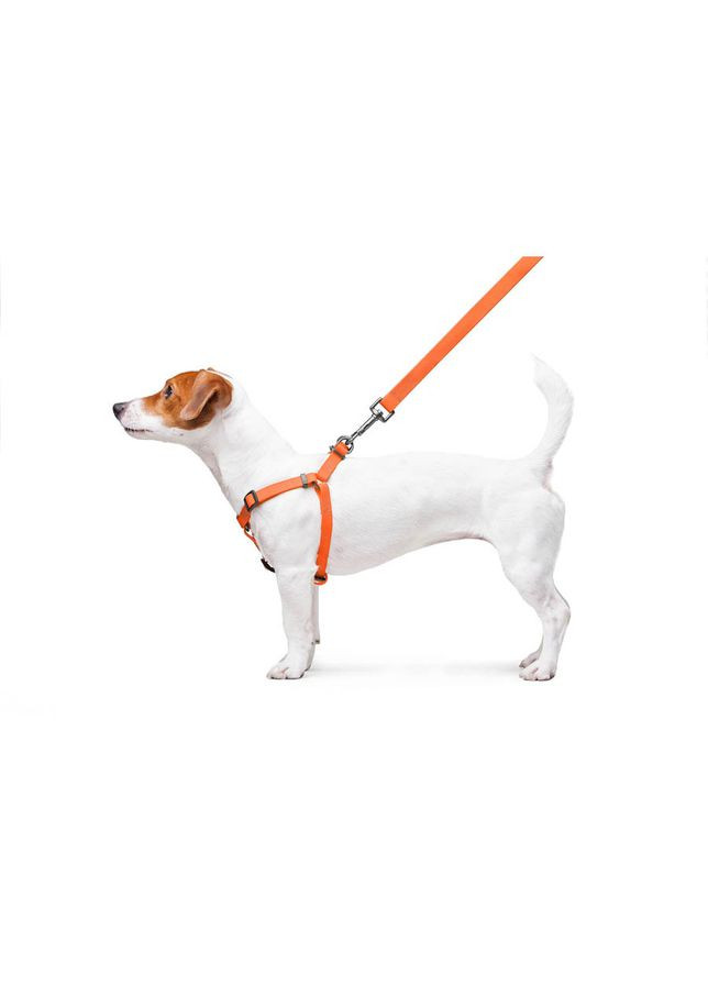 Шлея для собак водостійка WAUDOG Waterproof, c QR паспортом, металічна пряжка-фастекс, Ш 15 мм, Дов 40-55 см помаранчевий Collar (363199830)
