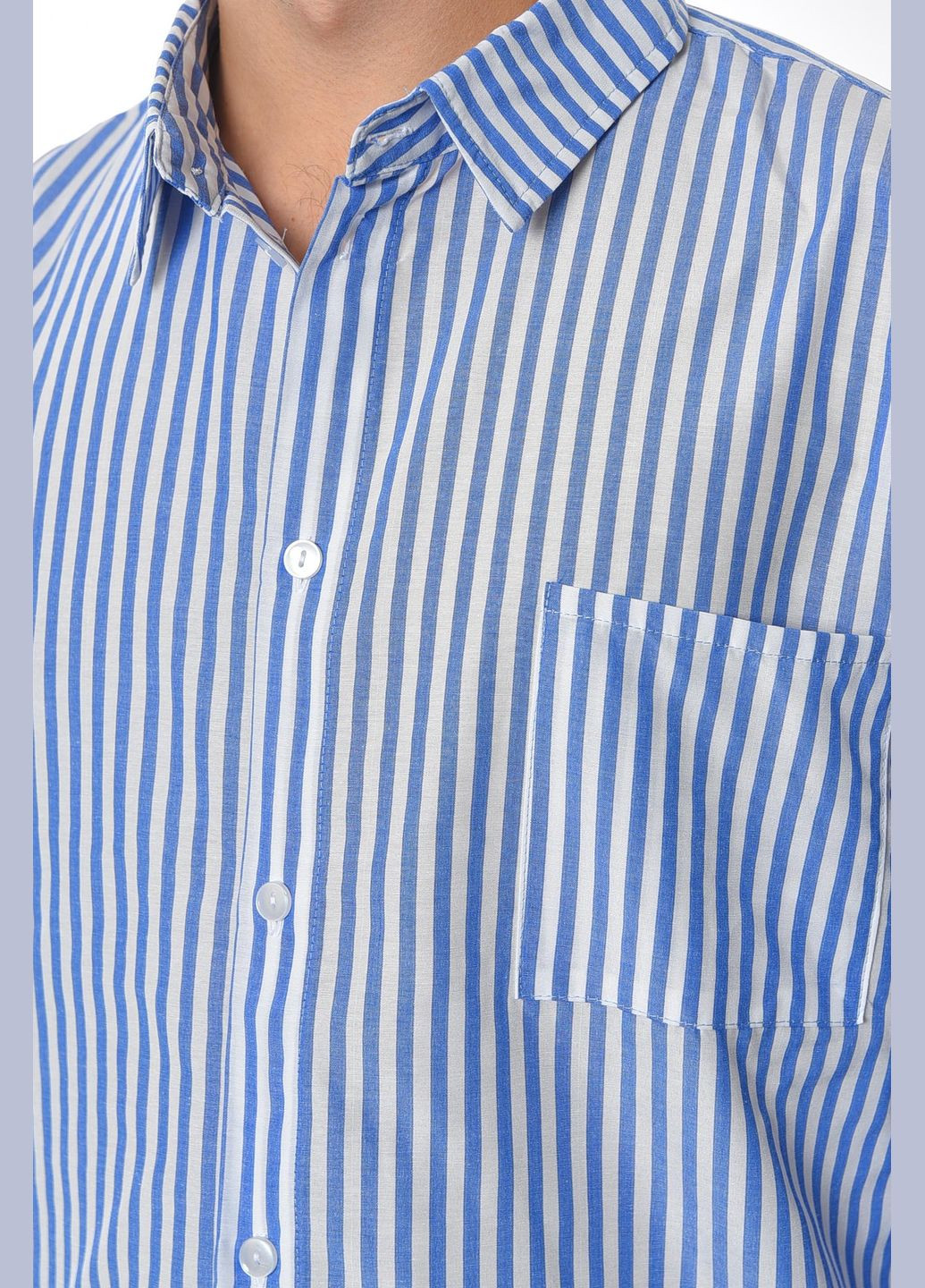Сорочка чоловіча біло-блакитного кольору Let's Shop (305296627)