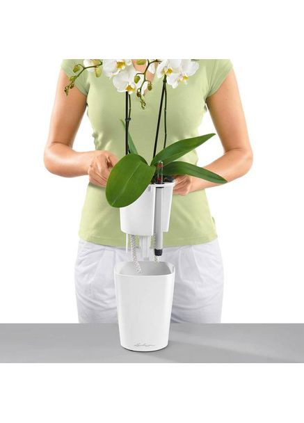 Вазон Делтіні White (14900) Lechuza (323204390)