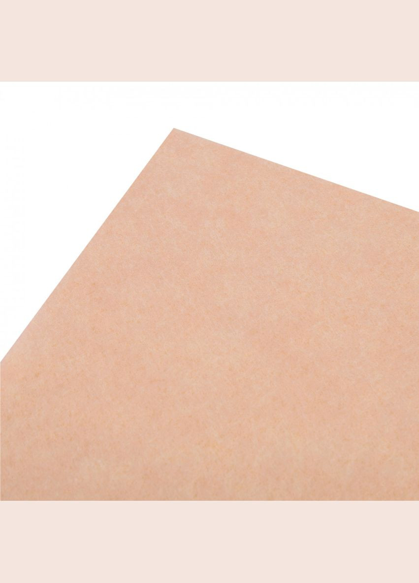 Набір фетру жорсткого 742934 21х30 см 10 листів бежевий Santi (336884452)