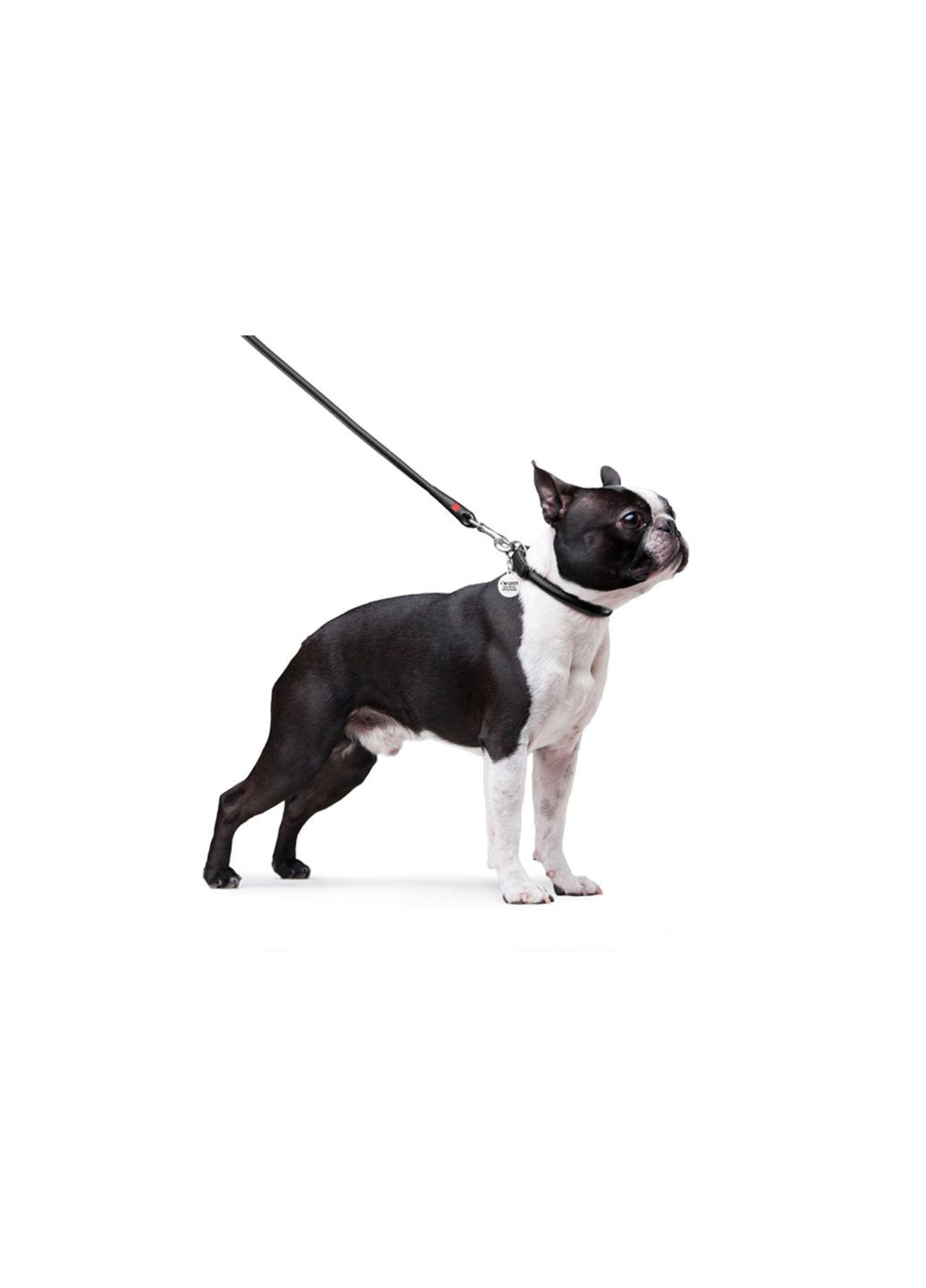 Повідець для собак шкіряний Glamour Круглий Д 8 мм Д 122 см Чорний WAUDOG (279572191)