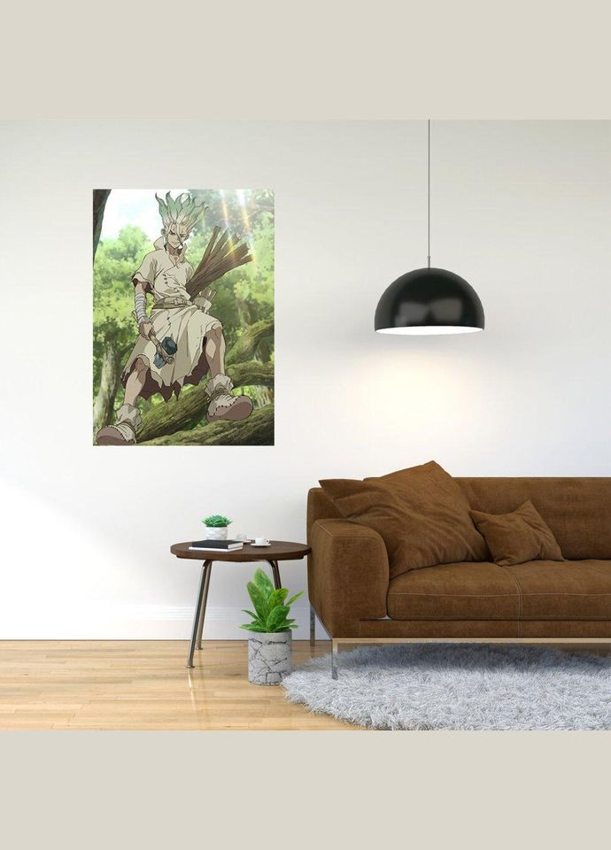 Плакат- с принтом "Доктор Стоун - Dr. Stone (манга аниме сериал)" A2 А0 Кавун постер (316209051)