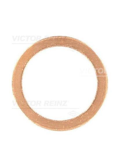 Уплотняющее кольцо REINZ 41-70168-00 Victor Reinz (345783842)
