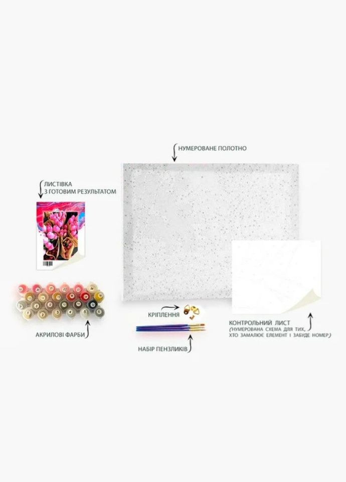 Картина живопис за номерами Тигр у капелюсі 40х50см GX47380 Rainbow Art (317902966)