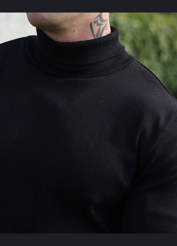 Водолазка мужская HC (h001-8095-019-1) No Brand (290011743)