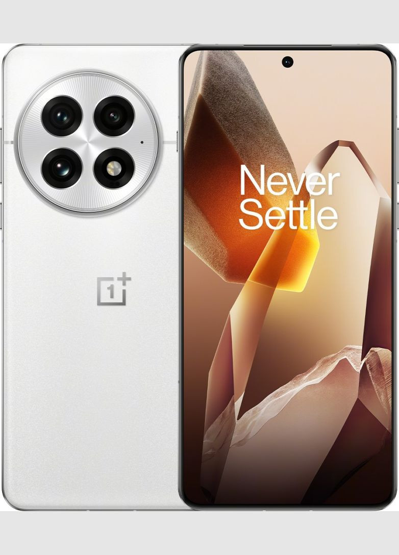 Смартфон 12/256GB Arctic Dawn OnePlus 13 (318745214)