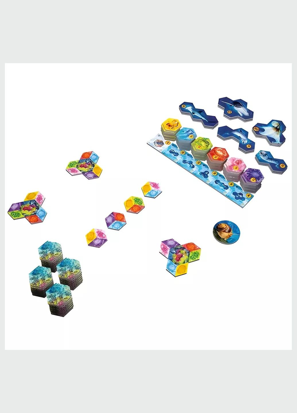 Игра настольная Aqua Океанское биоразнообразие (LOB2331UA) Lord of Boards (333253156)