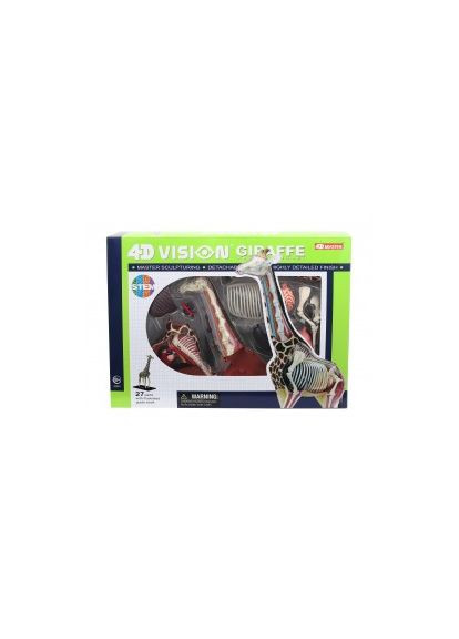 Анатомическая модель Жираф FM622011 4D Master (313434279)