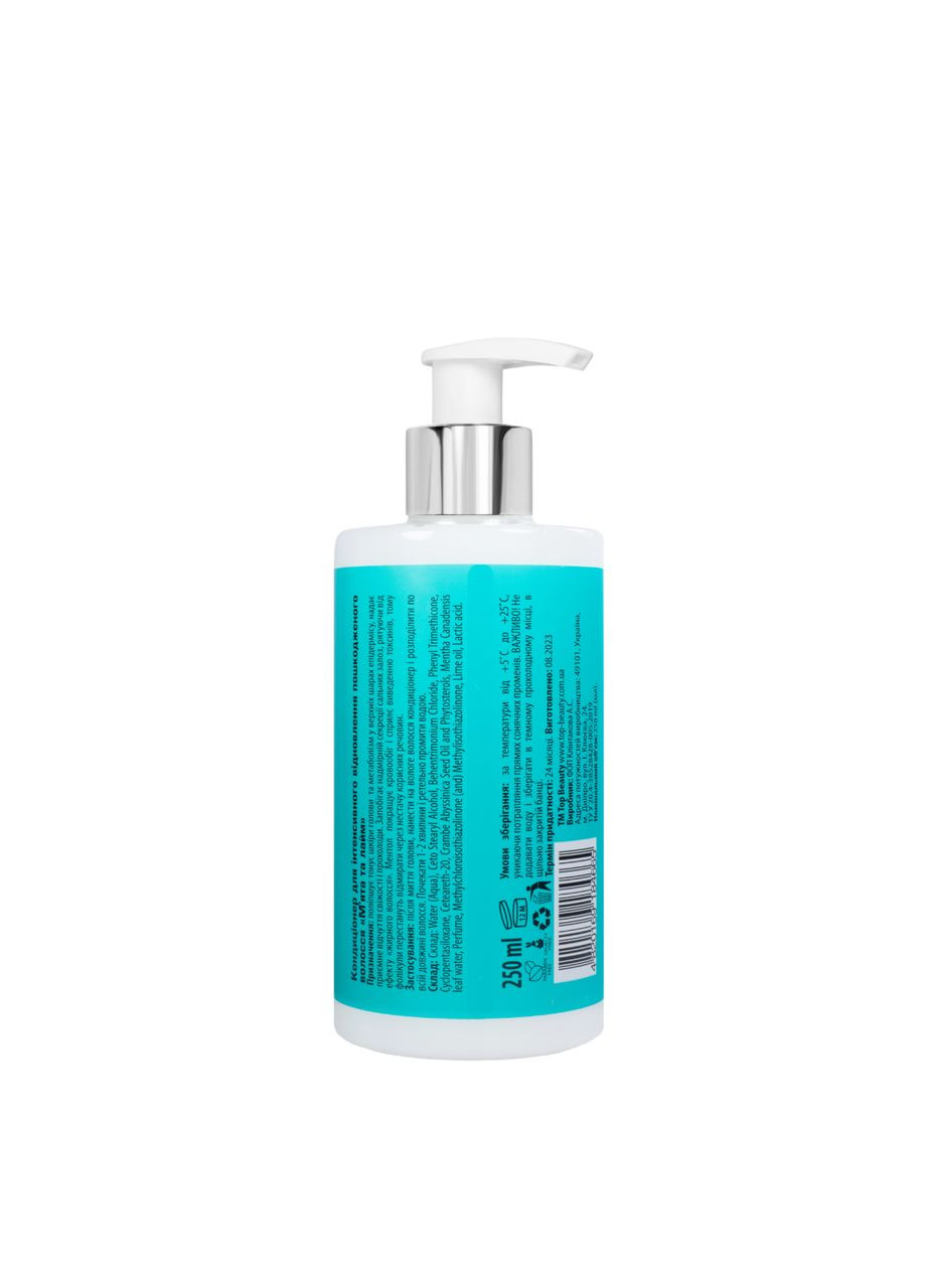 Кондиционер для восстанавливающих волос Mint&Lime 250 мл Top Beauty (367990742)