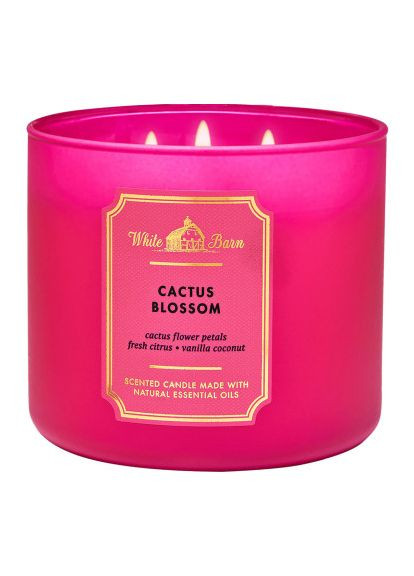 СВЕЧА CACTUS BLOSSOM ОТ BATH AND BODY WORKS Bath & Body Works (314836477)