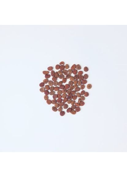 Сухой корм True Fresh Cat для взрослых кошек, с курицей, 1,8 кг Carnilove (362702948)