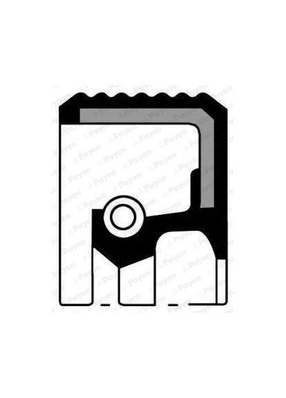 Сальник коленчатого вала 85X105X9 PEUGEOT (пр-во ) NF857 C.I.U Payen (366210640)