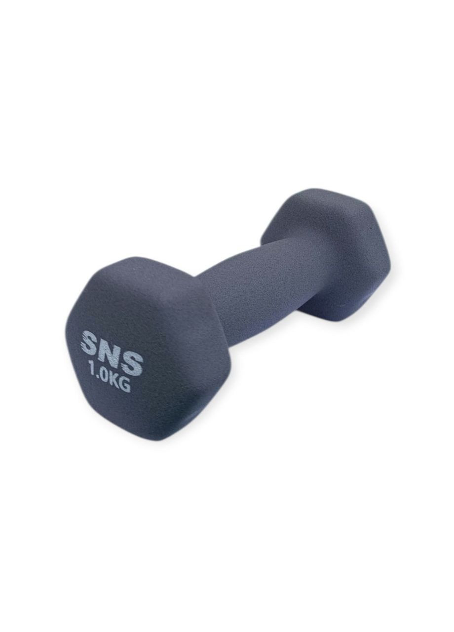 Гантель вінілова МАТОВА 1 кг сіра SNS (371734143)