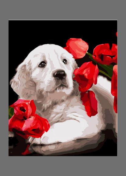 Картина по номерам Песик в маках VA-3611 40х50 см ( ) Strateg (328945241)