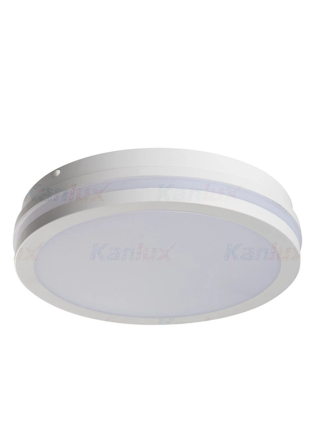 Вуличний стельовий світильник BENO 33344 Kanlux (402482563)
