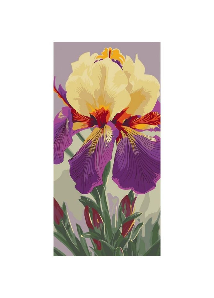 Картина за номерами "Ірис Карнівал Каперс" 13095-AC 40х80 см Art Craft (366975894)