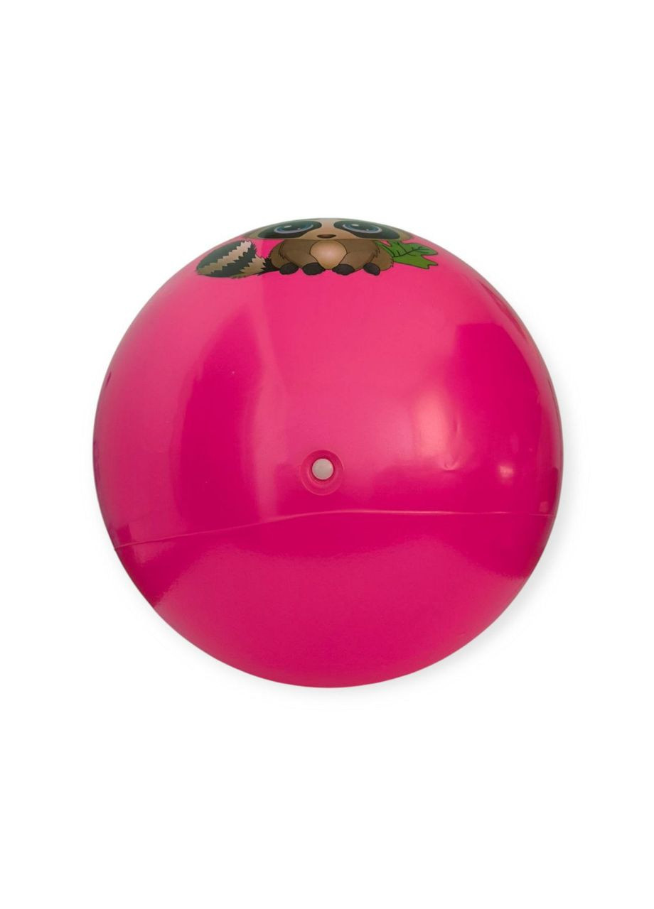 Мяч детский прыгун 45 см с розовой ручкой 4-D45-rose red SNS (361034034)