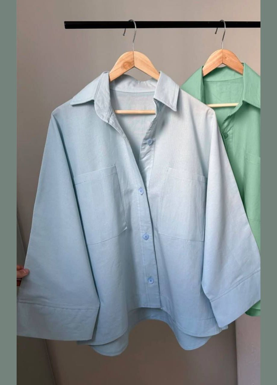 Голубой классическая, повседневный рубашка однотонная Avanti