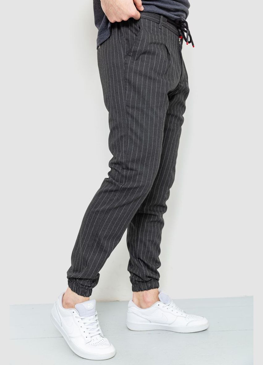 Чоловічі штани в смужку, колір сірий, Ager (292131009)