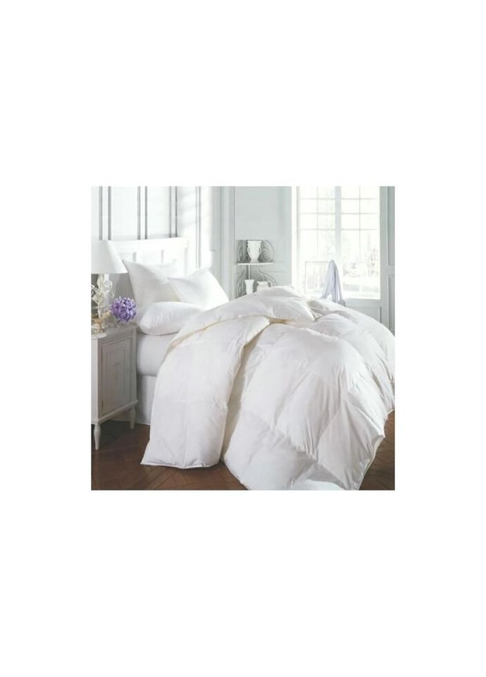 Одеяло пуховое Raffaello 052 зима 220x240 см (2200005895047) Mirson (315027952)